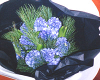 �ʐ^�F�����̃q���V���X�Ə��̃u�[�P