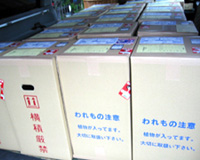 �ʐ^�F�ړ��̔��̎Ԃ͑q�ɂɕϐg