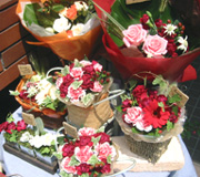 �ʐ^�F��̓��̃J�[�l�[�V������A�����W�����g