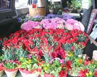 �ʐ^�F�Ԃł����ς��̎ԓ�