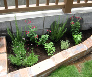 �ʐ^�F���n���y���݂Ȃ���̃n�[�u�R�[�i�[