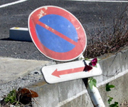 �ʐ^�F���[�ɉ�ꂽ���H�W����