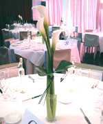 �ʐ^�F�Q�X�g�e�[�u��