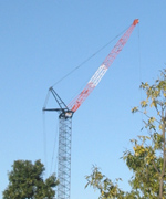 �ʐ^�F���̂��S�䂩�ꂽ�N���[��