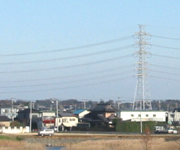 �ʐ^�F�����̓S��