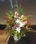 �ʐ^�F�}�t��