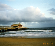 �ʐ^�F�{�[���}�X�̊C