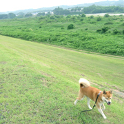 �ʐ^�F�P���^