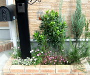 �ʐ^�F�͗l�ւ���̉Ԓd