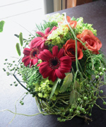 �ʐ^�F��΂�̎���_�����̃A�����W�����g