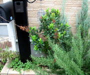 �ʐ^�F�͗l�ւ��O�̉Ԓd