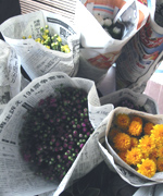 �ʐ^�F����