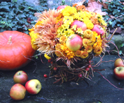 �ʐ^�F�傫�ȃu�[�P����