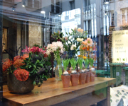 �ʐ^�F�ԉ��X��