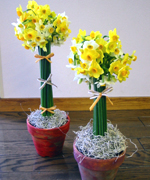 �ʐ^�F�g�s���A���[