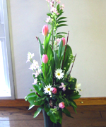 �ʐ^�F�`���[���b�v�ƃ}�[�K���b�g�̃A�����W