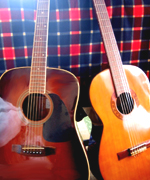 �ʐ^�F�M�^�[