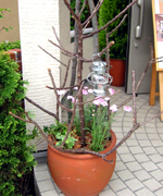 �ʐ^�F�񂹐A���̃I�u�W�F