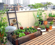 �ʐ^�F����{�H��