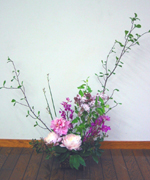 �ʐ^�F�t�����[�����̐��k����̍�i