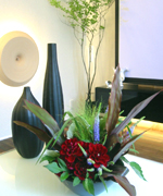 �ʐ^�F���f�����[�� ���r���O�A�����W