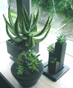 �ʐ^�F���f���n�E�X ���ւ̑����A��