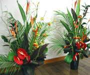 �ʐ^�F�g���s�J���ȃt�����[�A�����W