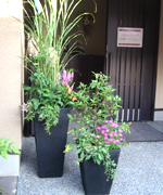 �ʐ^�F�H�̊񂹐A��