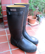 �ʐ^�F���C