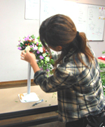 �ʐ^�F���b�X�����i