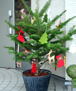 �ʐ^�F�N���X�}�X�c���[