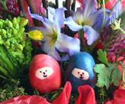 �ʐ^�F���Ղ�A�����W