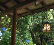 �ʐ^�F���������񂩂�̌i�F