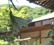 �ʐ^�F�R�S��