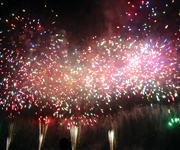 �ʐ^�F�����̉ԉΑ��