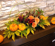 �ʐ^�F�Z��W����̐��ԃf�B�X�v���C