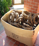 �ʐ^�F���[�X��