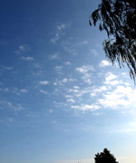 �ʐ^�F�H�̋�