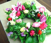 �ʐ^�F�ю��̂��