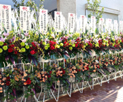 �ʐ^�F�ю��̂��