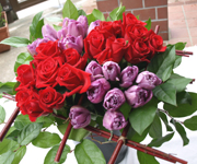 �ʐ^�F�X�N�G�A�u�[�P