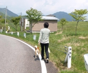 �ʐ^�F�P���^&��