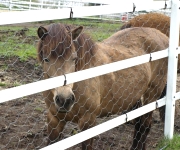 �ʐ^�F����q��̔n