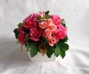 �ʐ^�F�o���̃A�����W