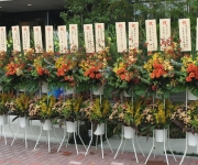 �ʐ^�F�X�^���h��