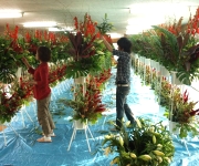 �ʐ^�F���앗�i