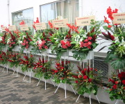 �ʐ^�F�X�^���h��