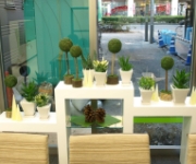 �ʐ^�F�X�܃f�B�X�v���C