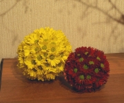 �ʐ^�F�t�����[�{�[��