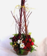 �ʐ^�F�N���X�}�X�A�����W